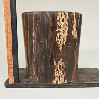 Polished Petrified Wood (21.3 lbs _ S-550)