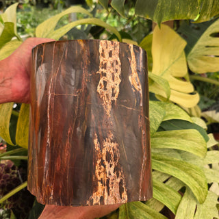 Polished Petrified Wood (21.3 lbs _ S-550)