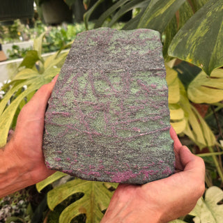 Ruby in Zoisite (11.3 lbs _ S-552)