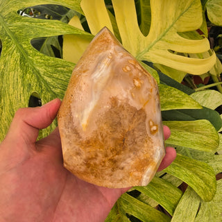 Flower Agate Flame (2.6 lbs _ S-554)