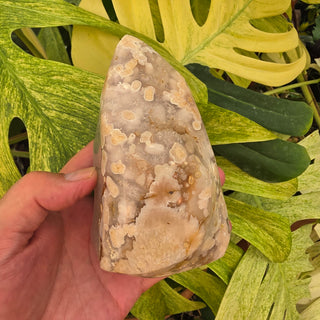 Flower Agate Flame (1.8 lbs _ S-555)