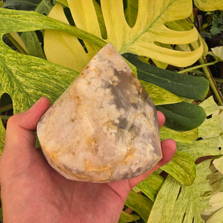 Flower Agate Flame (2.4 lbs _ S-556)