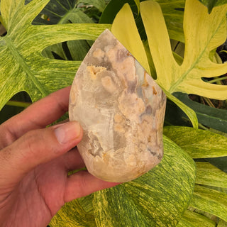 Flower Agate Flame (1.6 lbs _ S-558)