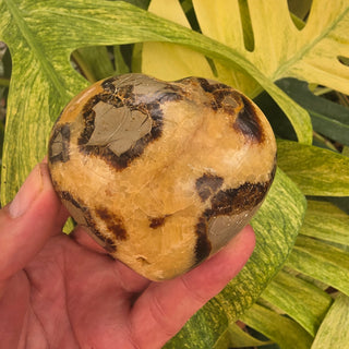 Septarian Heart (9.49 oz _ SL-564)
