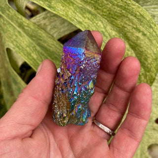 Hand holding a colorful crystal with a green leafy background