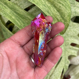 Hand holding a colorful crystal against a green leafy background