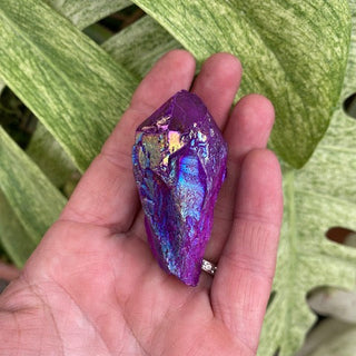Hand holding a colorful crystal next to green leaves