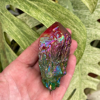 Hand holding a colorful crystal against a leafy green background