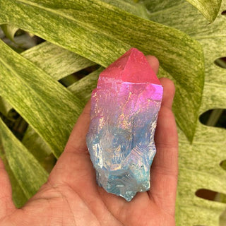 Hand holding a colorful crystal against a green leafy background