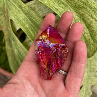 Hand holding a colorful crystal with green leaves in the background