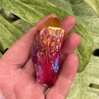 Hand holding a colorful crystal with green leaves in the background