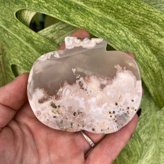 Hand holding a semi-precious stone against a green leafy background