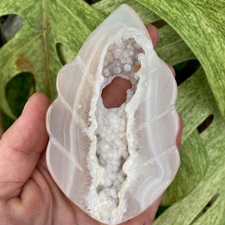 Geode held in hand with green leaves in the background