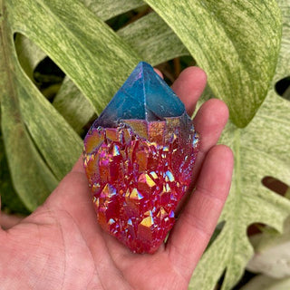 Hand holding a colorful crystal against a green leafy background