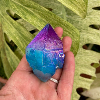 Hand holding a colorful crystal in front of green leaves