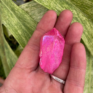 Hand holding a pink crystal against a green leafy background