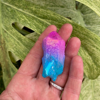 Hand holding a colorful crystal against a green leaf background