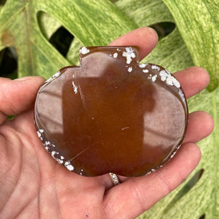 Hand holding a brown stone with a leafy green background
