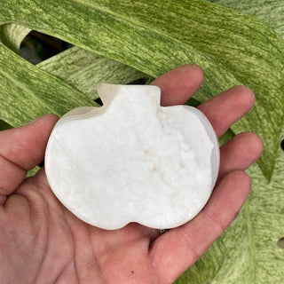 Hand holding a white stone with leafy green background