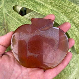 Hand holding a polished brown stone against a green leafy background