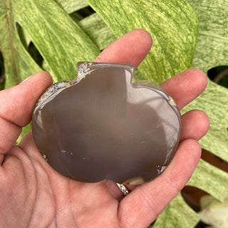 Pumpkin-shaped stone held in a hand with a green leafy background