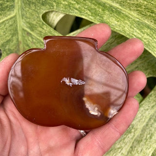 Hand holding a brown stone with green leaves in the background