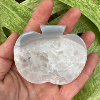 Hand holding a white stone with a leafy green background