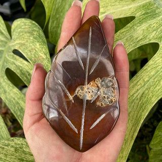 Hand holding an agate leaf-shaped stone with green leaves in the background