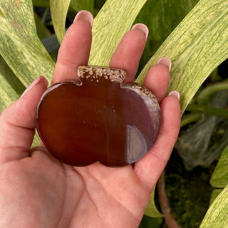 Hand holding a polished agate stone with green leaves in the background