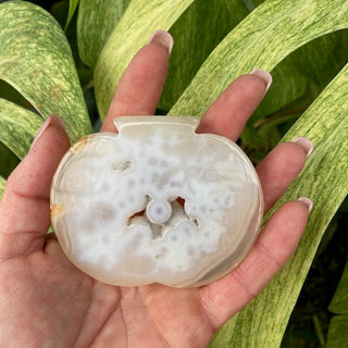 Hand holding a white druzy agate pumpkin against a green leafy background