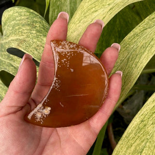 Brown moon-shaped agate piece held in a hand with green leaves in the background