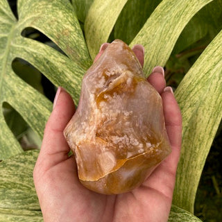 Hand holding Flower Agate Flame Shape with leaves in the background