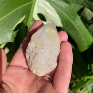 Hand holding a translucent crystal-like stone with green leaves in the background