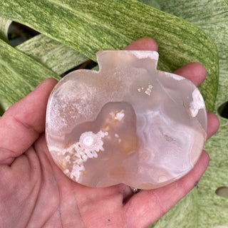 Hand holding a translucent crystal-like object against a green leafy background