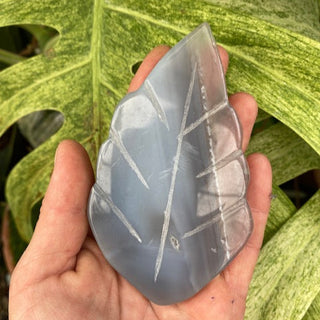 Hand holding a translucent stone with leafy green background