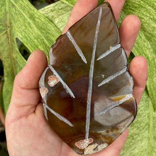 Hand holding a polished agate stone with leaf pattern against a green leafy background