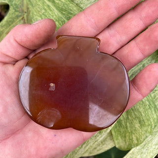 Hand holding a polished brown stone against a green leafy background