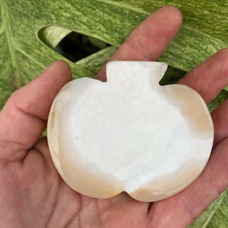 Hand holding a white, pumpkin-shaped object against a green leafy background