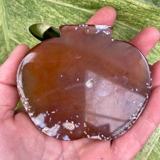 Hand holding a brown agate stone with a green leafy background