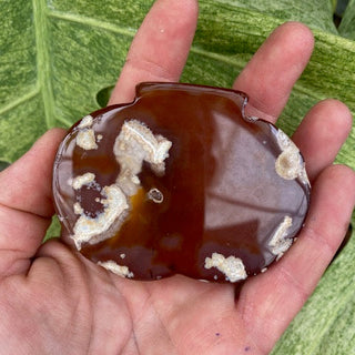 Hand holding a brown agate stone with white markings against a green leafy background
