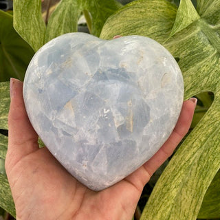 Heart-shaped blue calcite stone held in a hand with green leaves in the background