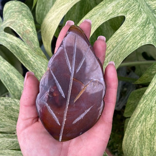Hand holding an agate leaf-shaped stone with green leaves in the background