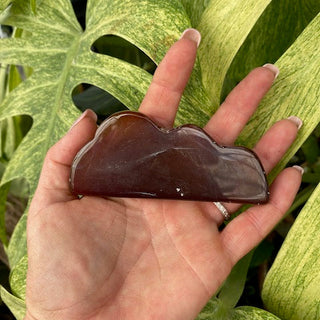 Hand holding a brown agate stone in a cloud/mountain shape with green leaves in the background
