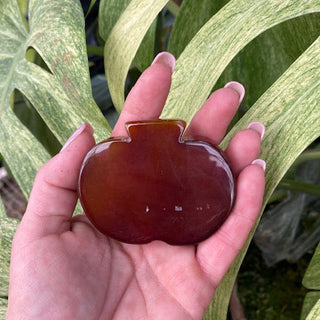 Hand holding a polished agate stone in front of green leaves