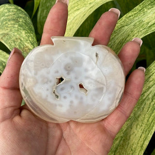 Hand holding a white druzy agate pumpkin against a green leafy background