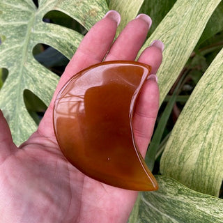Brown moon-shaped agate piece held in a hand with green leaves in the background