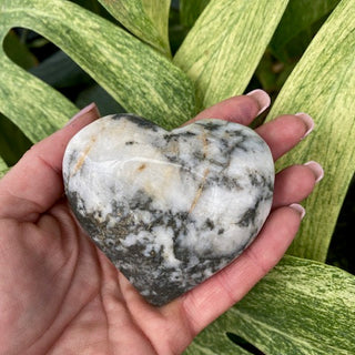 Hand holding a pyrite and jasper stone with green leaves in the background