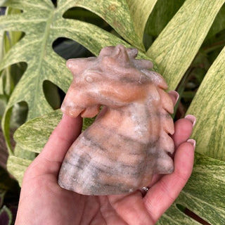 Hand holding a jasper unicorn against a leafy green background