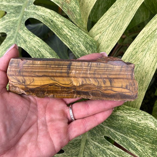 Hand holding a piece of tiger's eye with green leaves in the background