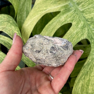 Hand holding a geode (back side) in front of green leaves